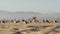 Sea gulls on sunny sandy california coast, iconic retro wooden rainbow pride lifeguard watchtower. Venice beach near