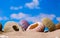 Sea Hedgehog shells on sand and blue sky Background