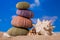 Sea Hedgehog shells on sand and blue sky Background