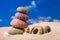 Sea Hedgehog shells on sand and blue sky Background