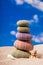 Sea Hedgehog shells on sand and blue sky Background