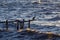 Sea hitting the rocks in the late afternoon in Florianopolis, Santa Catarina, Brazil