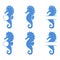 Sea horse collection. Seahorse silhouette. Vector icon isolated on white