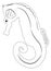 Sea horse illustration clean lines