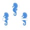 Sea horse set. Seahorse silhouette. Vector icon isolated on white