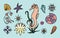 Sea horse, shells and doodle elements. Graphic sea life collection. Vector ocean creatures isolated on light blue background. Set