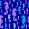 Sea Horses colourful seamless pattern.