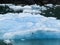 Sea ice and and glacier of Tracey Arm Alaska