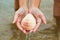 Sea inhabitants: Bivalve seashell in hands