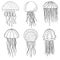 Sea jellyfish, black outline, coloring, vector illustration