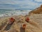 A sea landscape containing several seashells, some waves and a bunch of clouds.