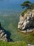 sea landscape with pine rock