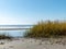 Sea landscape with white sand and reeds, calm autumn day