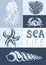 Sea life. Creative aesthetic graphic poster. Underwater animals: starfish, shells, corals