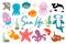 Sea life. fish, jellyfish, hammerhead shark, squid, octopus, whale, starfish. Collection of colorful vector illustrations. Large