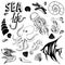 Sea life hand drawn sketch with seahorse, fish, seashell, seastar, jellyfish, octopus