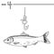 Sea life. The herring and fishing hook. Original doodle hand drawn illustration. Outlines