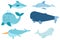 Sea life, marine animals set in flat style isolated on white background. Vector illustration