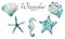 Sea Life Watercolor. Seashell, Starfish Aqua Watercolour Blue Ocean Set