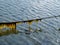 Sea line rope of boat covered with seaweed and algae