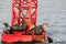 Sea lion barking at other sea lions sunbathing on a buoy.