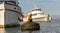 Sea lion basking on a mooring buoy in a harbor