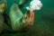 Sea Lion Blowing Bubbles Underwater