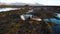 Sea lion colony wildlife walking in beach Iceland