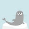 Sea lion. Harp seal pup lying on iceberg ice. Cute cartoon character. Happy baby animal collection. Sea ocean water. Blue backgrou