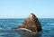 Sea Lion lazing on Pinnacle Rock at Lands End in Cabo San Lucas Baja Mexico