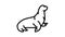 sea lion line icon animation