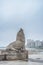 Sea Lion in Mar del Plata, Buenos Aires, Argentina