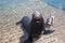 Sea Lion and Pelican on the marina boat launch in Cabo San Lucas Mexico