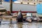 Sea lion posing with others on pier at Moss Landing Harbor, Monterey Bay, California