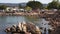 Sea lion resting on the shore in Cannery Row in Monterey, California.