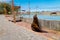 Sea lion in san cristobal galapagos islands