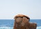 Sea Lion sunning and lounging on Pinnacle rock at Lands End at Cabo San Lucas Baja California Mexico