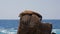 Sea Lion sunning and lounging on Pinnacle rock at Lands End at Cabo San Lucas Baja California Mexico