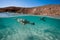 A sea lion swims under the surface