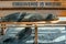 Sea lion taking a nap on a bench, Galapagos