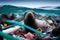 sea lions on the beach pollution toxic dirty