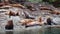 Sea Lions in British Columbia. Large Sea lion Group on Rocks in Beautiful Inlet Fjord Nature Landscape Near Bute, Toba