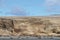 Sea Lions Isla Marta Patagonia Chile