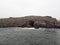 Sea lions on Palamino Island Lima Peru South America