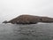 Sea lions on Palamino Island Lima Peru South America