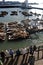 Sea lions at Pier 39, San Francisco, USA