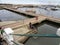 Sea lions in the port of the City of Piriapolis, Uruguay