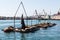 Sea Lions Rest on Docks in Port of Ensenada