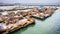 Sea lions resting on wooden platforms at Pier 39, one of the landmarks of San Francisco