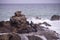 Sea lions on rocks with crashing waves